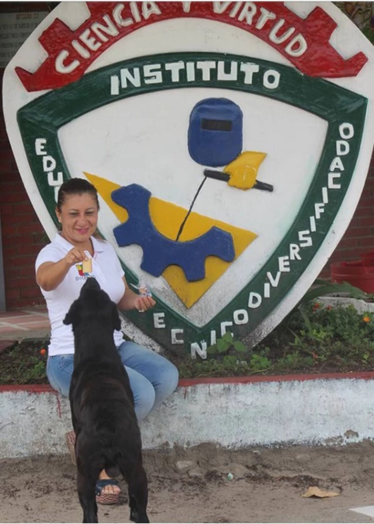 'Negro' es un perro labrador de la calle que compra galletas con hojas