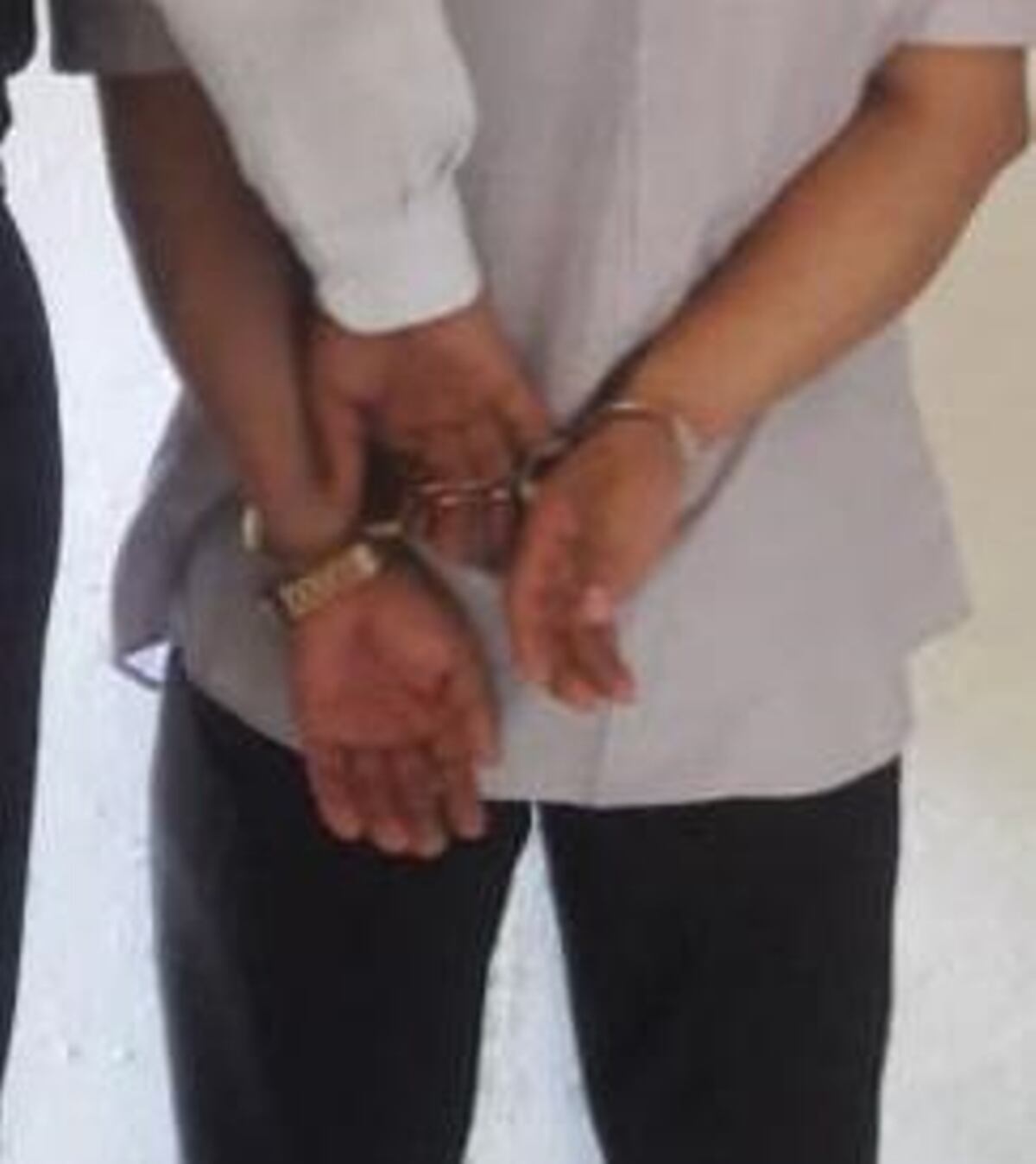 Recuperan ganado hurtado en Darién