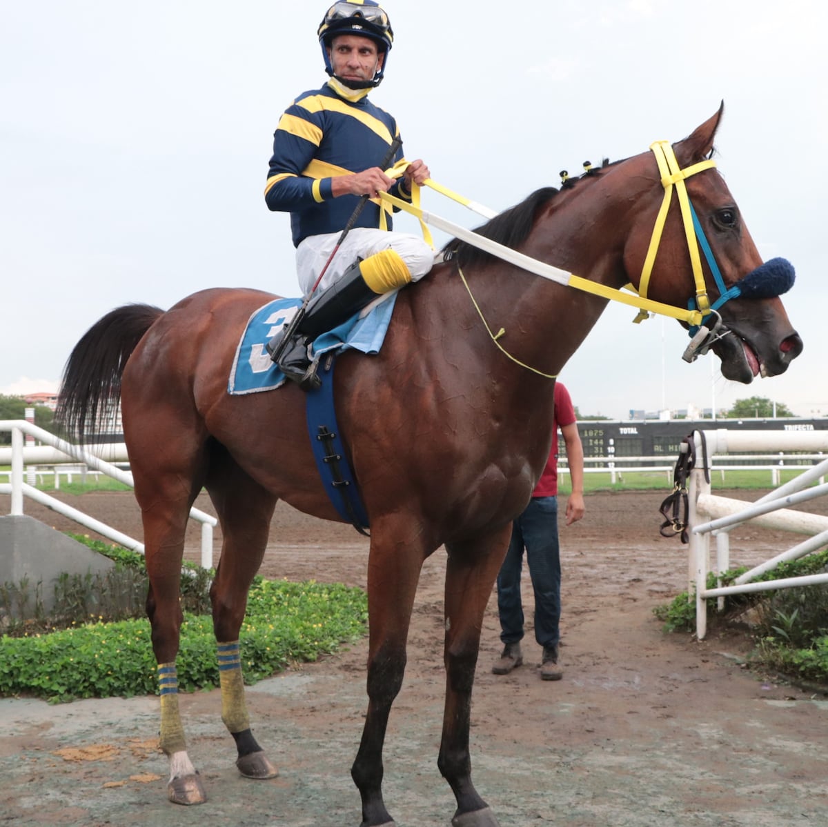 Hoy se corre el Clásico Presidente. Chequea el pronóstico de nuestro experto