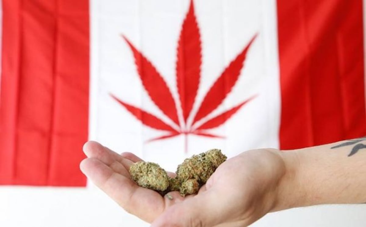 Marihuana será legal en Canadá a partir del 17 de octubre