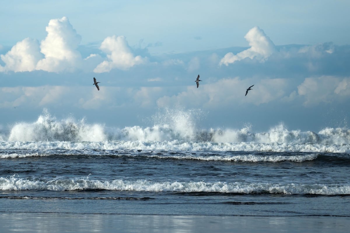 Economía azul: la apuesta de Panamá para cuidar el mar y generar trabajo