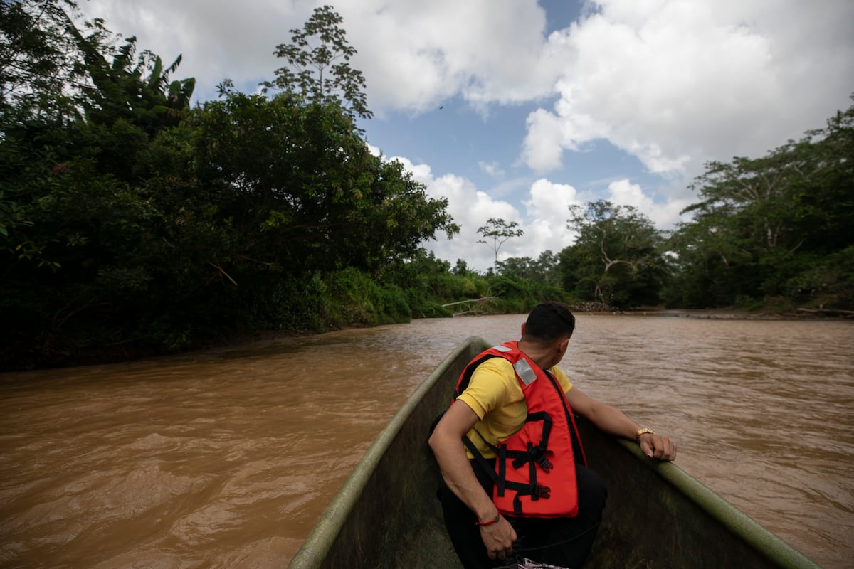 Embalse en Río Indio obligaría a incorporar corredores biológicos