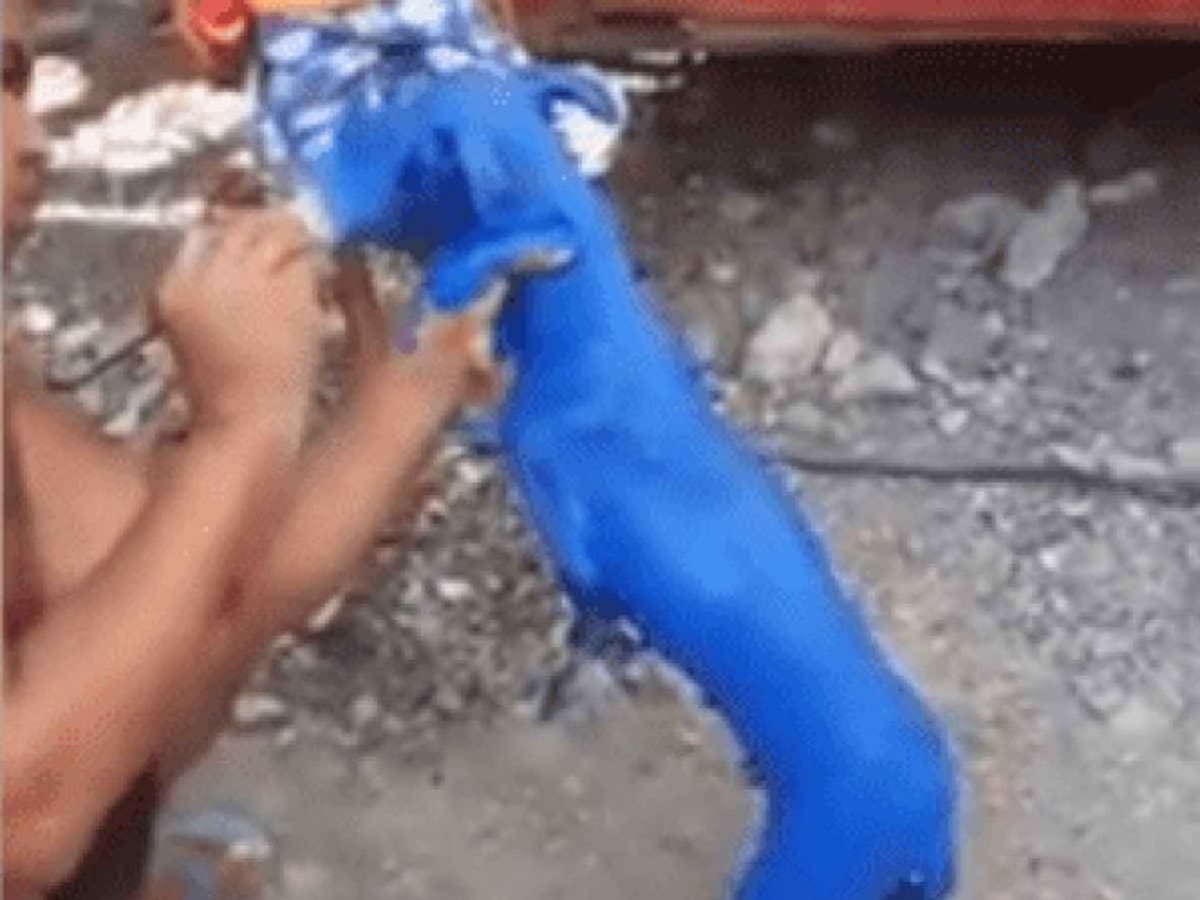 Captan a hombre pintando a un perrito de azul; enfurece en redes. Video