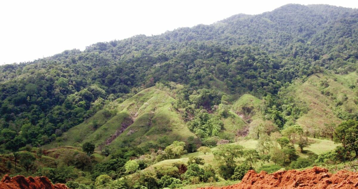 Grupo ambiental advierte de precedente nefasto sobre titulación de tierras en El Montuoso