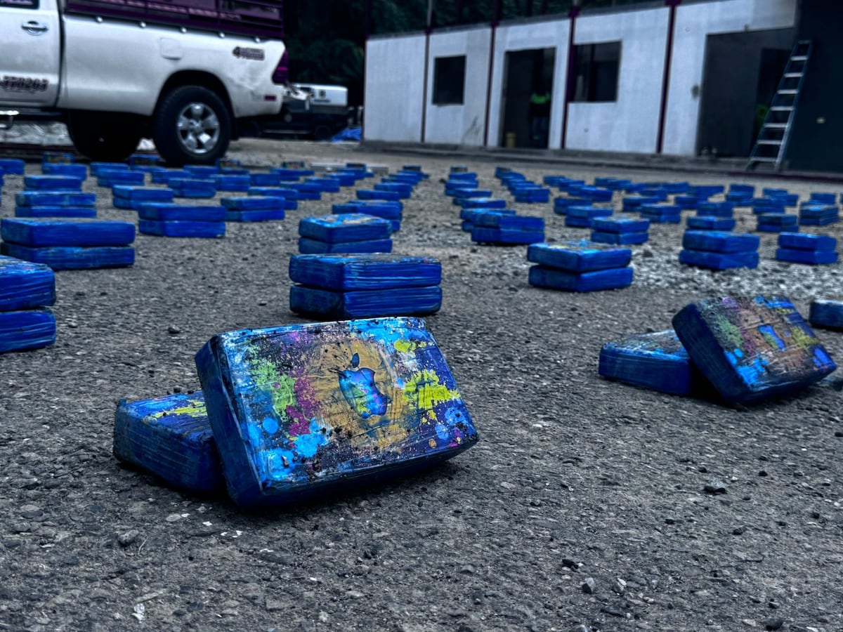 Perfilamiento en Bayano. Iba cargado de plátanos verdes, pero escondía un secreto: hallan 300 paquetes de presunta droga