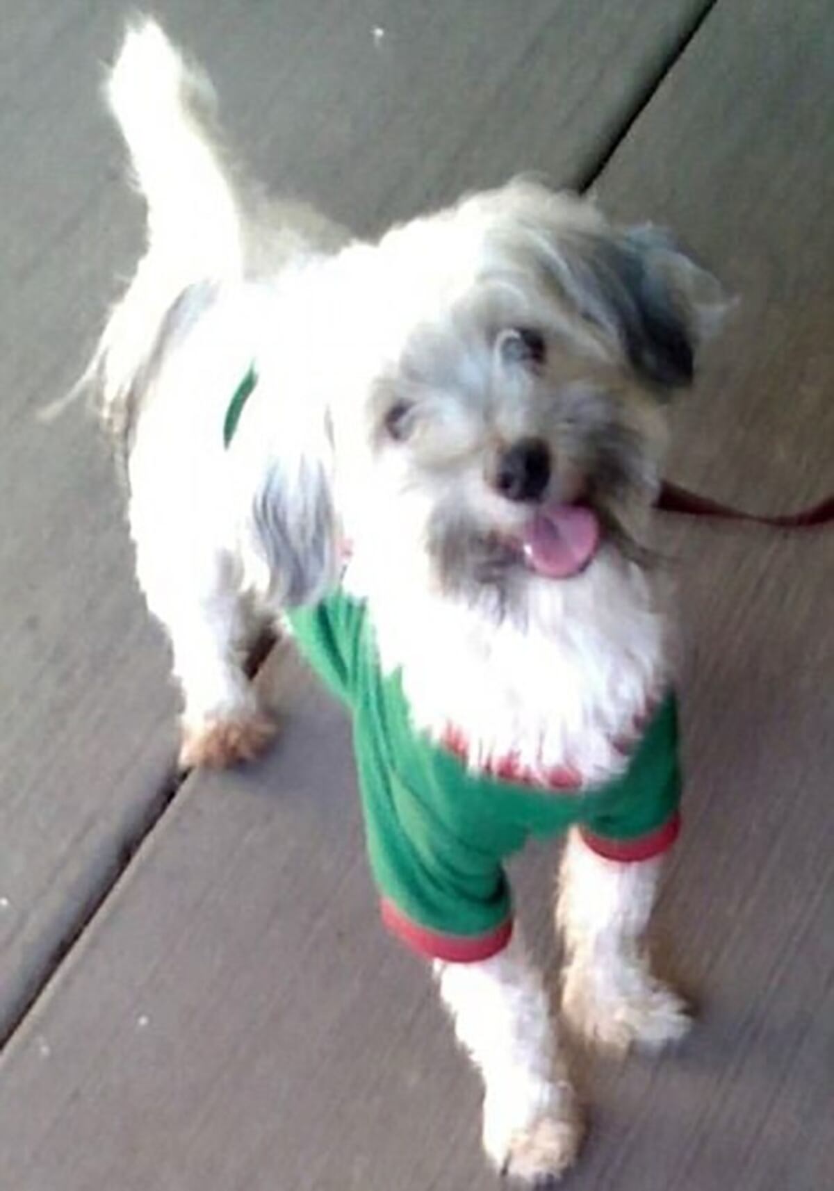 Los 13 hermanos cautivos por sus padres solo se bañaban dos veces al año