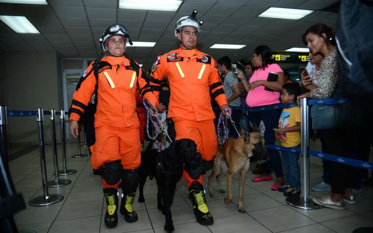 HÉROES PANAMEÑOS. Regresan tras darle una mano de ayuda a México