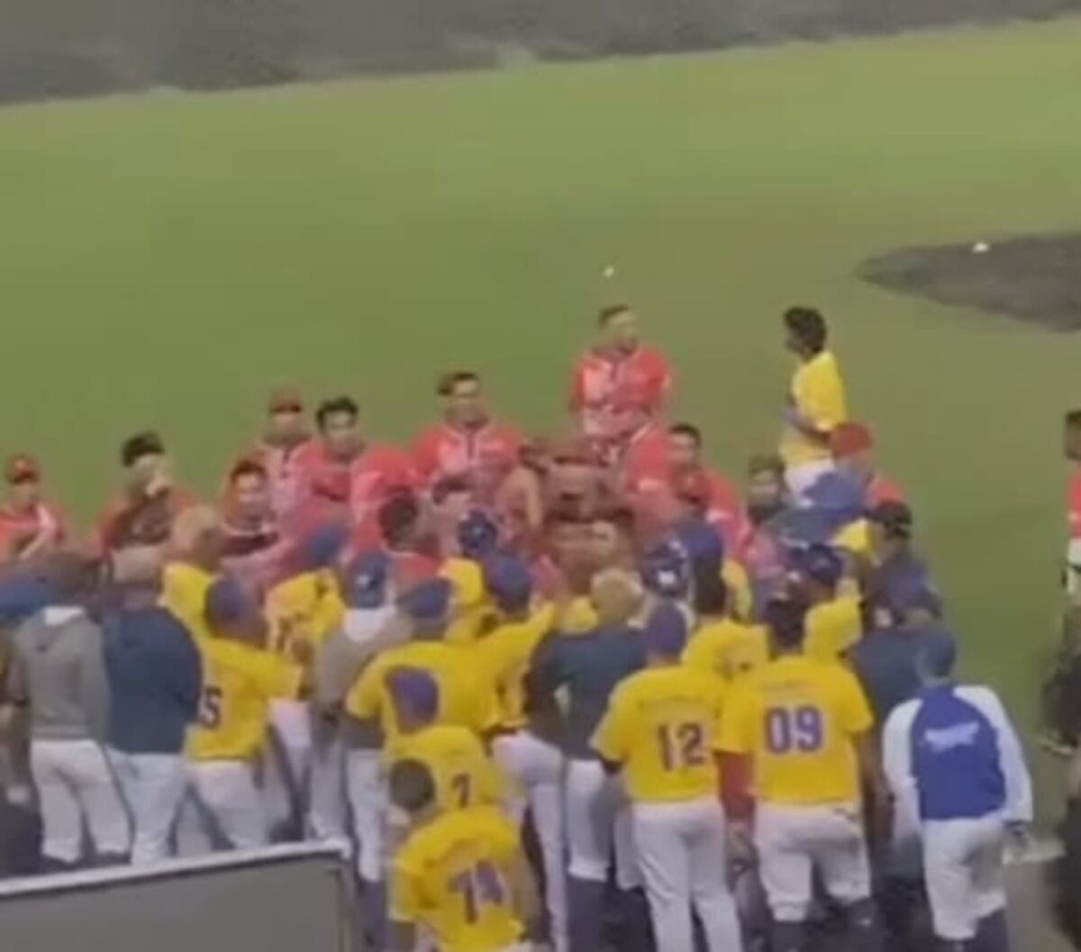 Editorial. Las lamentables trifulcas en los partidos de béisbol