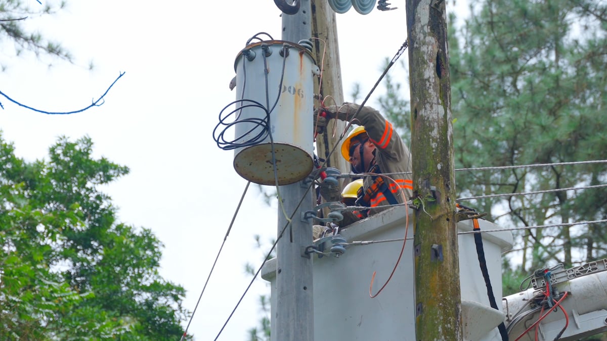 Ensa invierte $15 millones para fortalecer la red eléctrica con tecnología y mantenimiento preventivo ante eventos climáticos