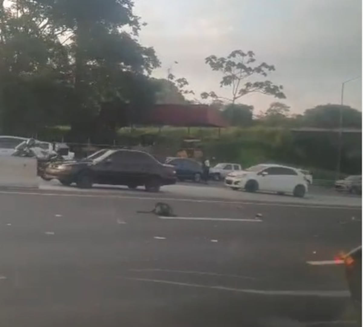 Horror en la autopista Arraiján-La Chorrera: cuerpo quedó sobre la vía tras el impacto +VIDEO