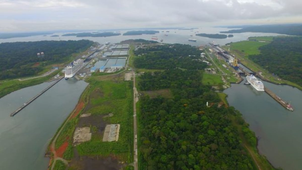 ¡HISTÓRICO!El crucero más grande de pasajeros que pasa el Canal de Panamá. VIDEO