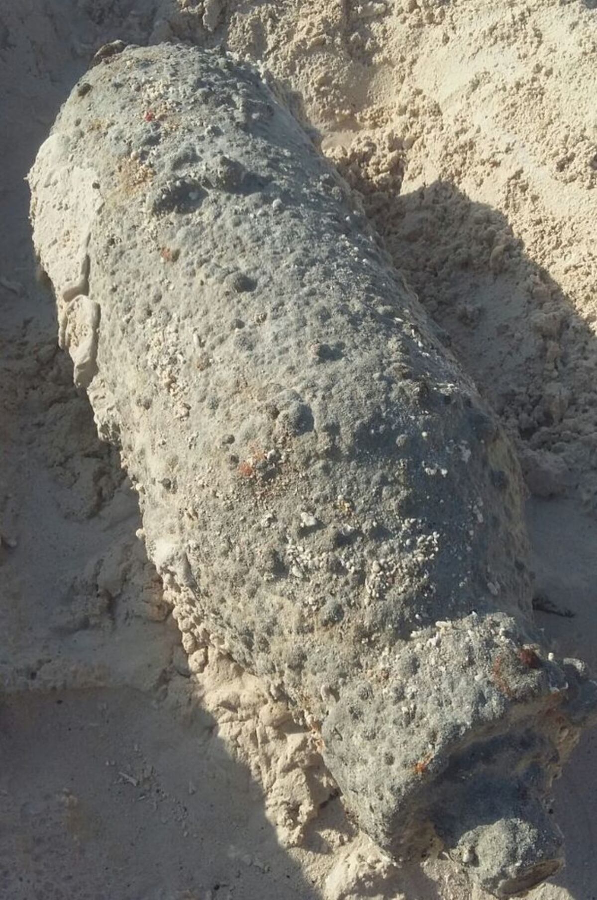 ¡ESCALOFRIANTE! Hallan 'bomba' en isla Iguana 