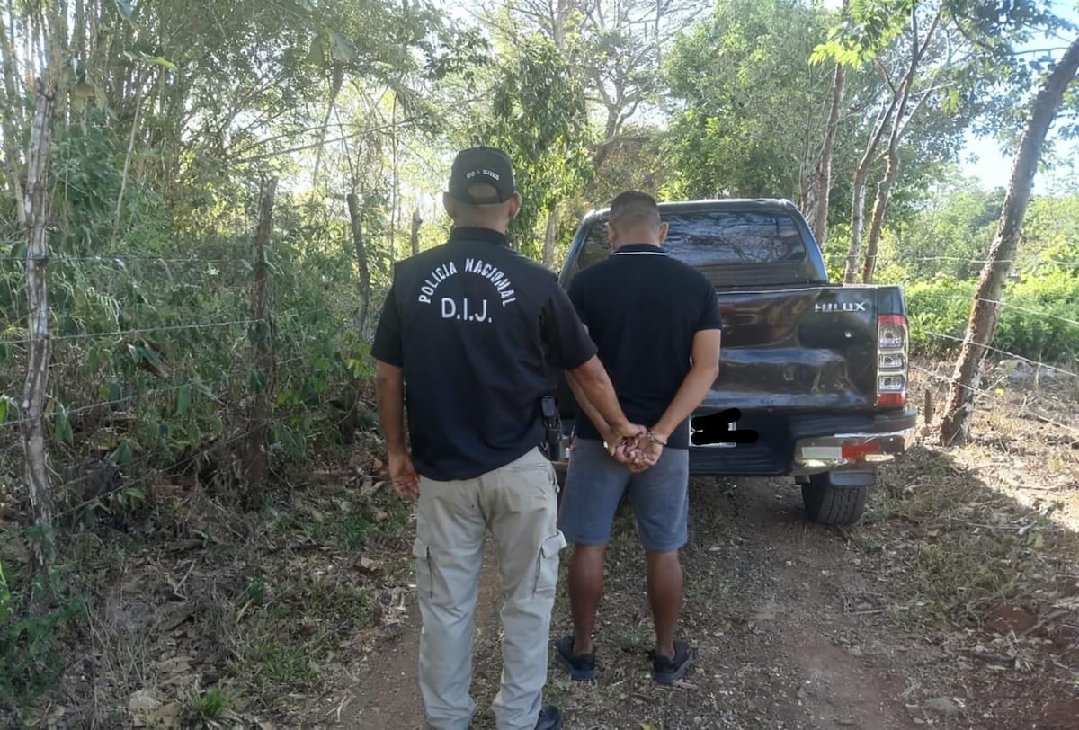 Tras la pista del ganado robado: Caen 3 por hurto pecuario en Veraguas