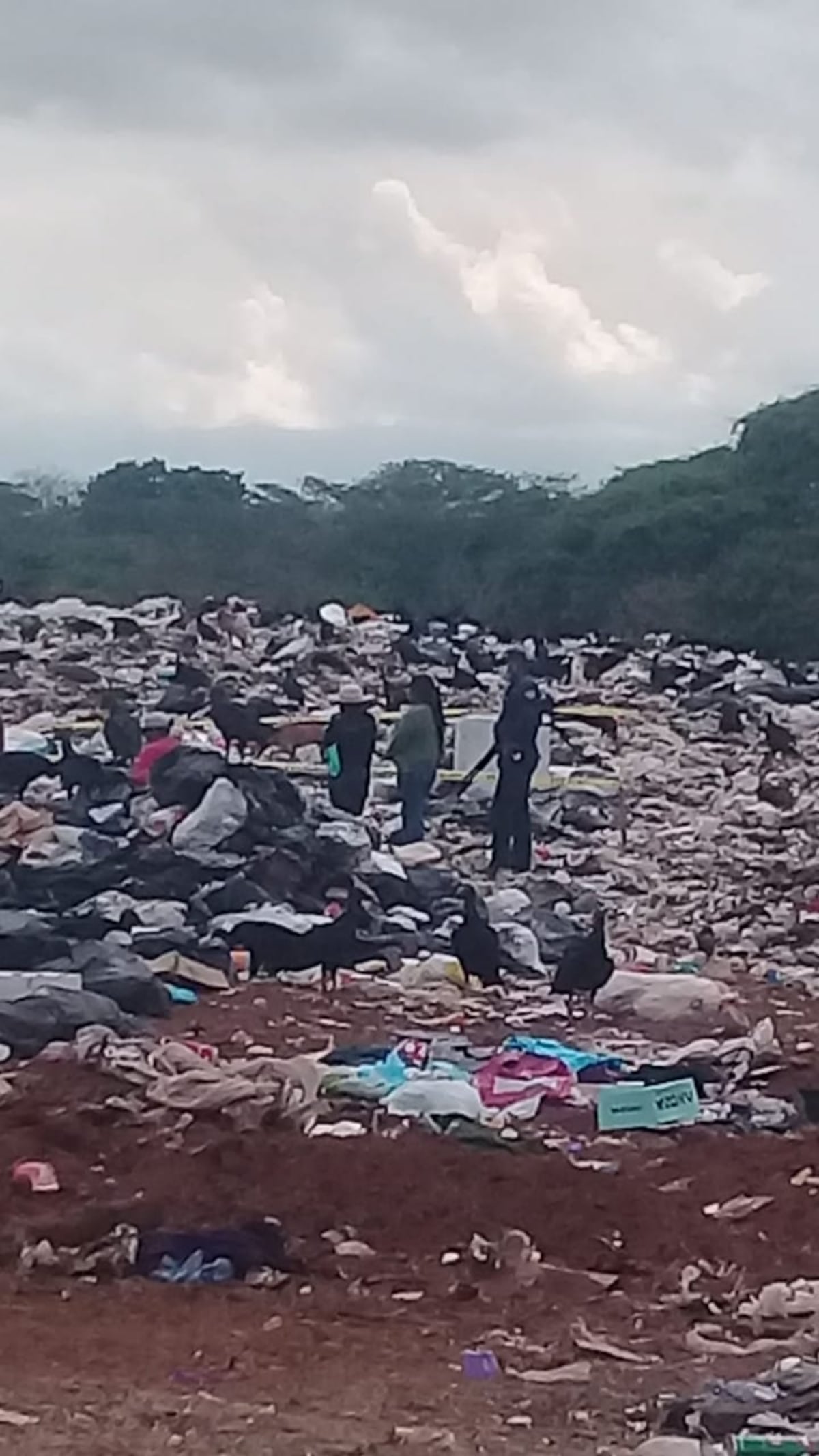 Detienen a mujer vinculada a homicidio de infante 