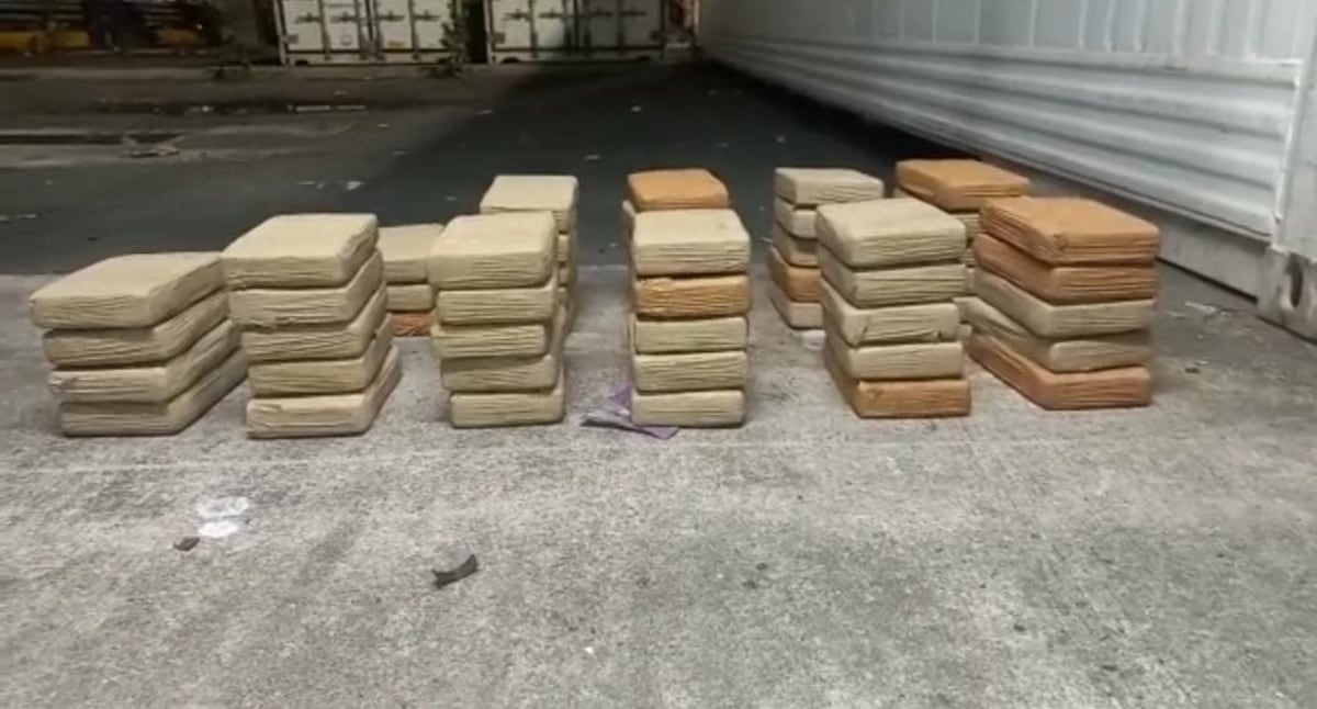 Más droga es decomisada por la Policía Nacional