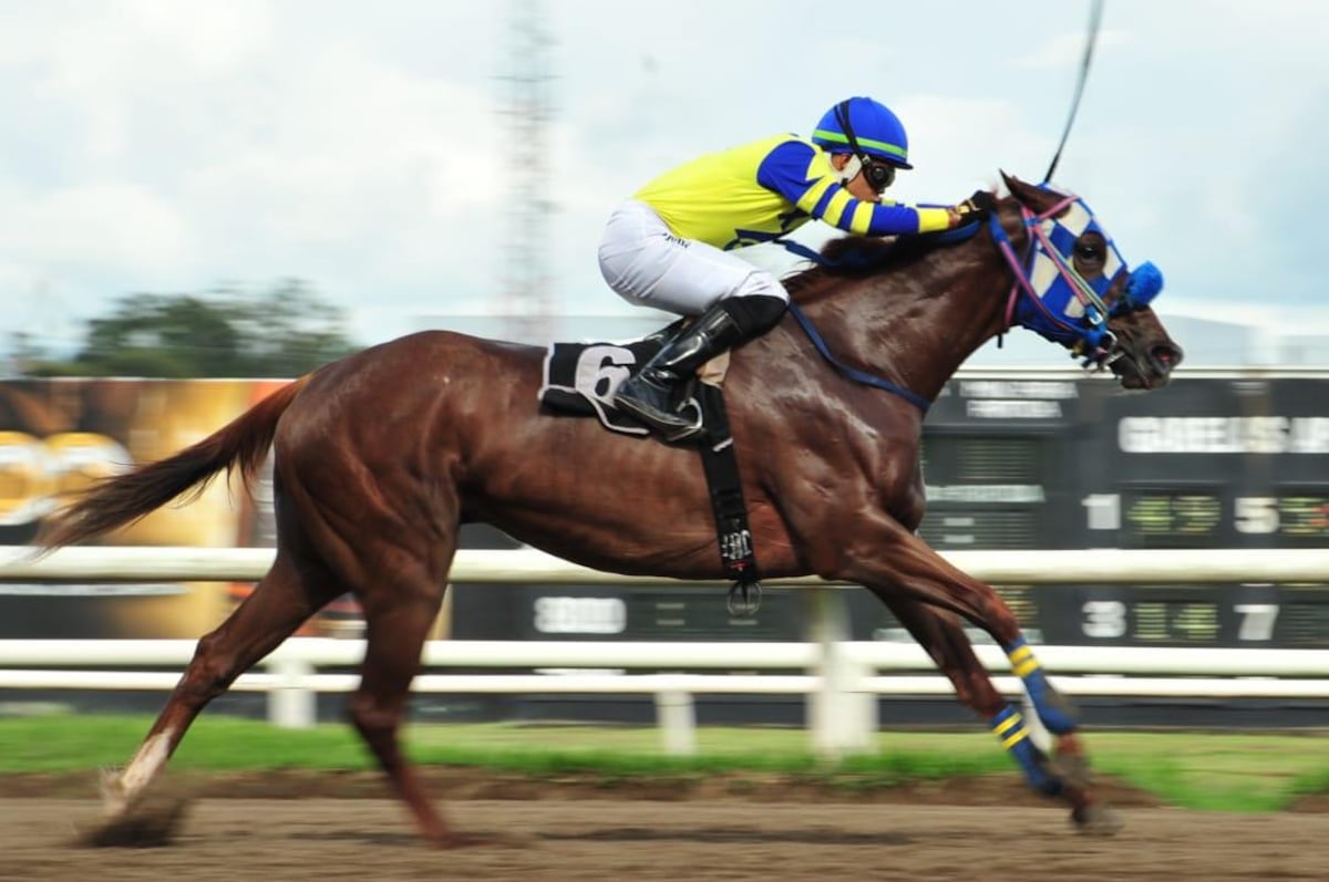 APROTURF y APPUCAPA anuncian boicot a la Serie del Caribe en Caracas