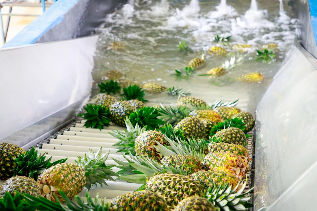 Crecen las exportaciones y superan los $905 millones