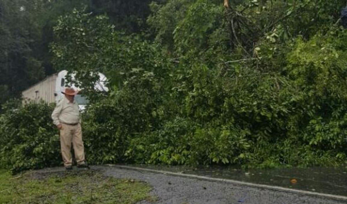 ¡CUIDADO! Mal tiempo en Chiriquí causa estrago
