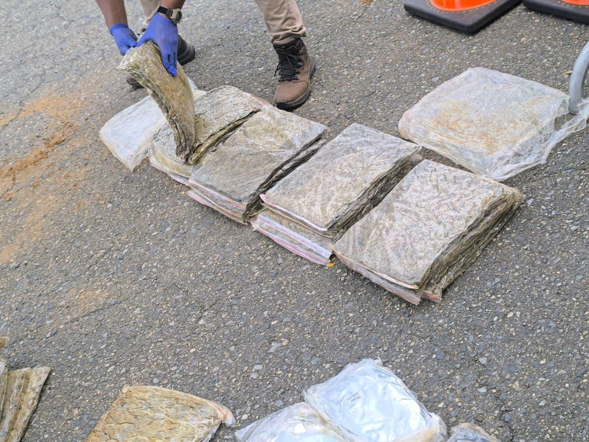 Descubren caleta bajo tierra con 280 paquetes de presunta droga en la Costa Arriba de Colón +VIDEOS