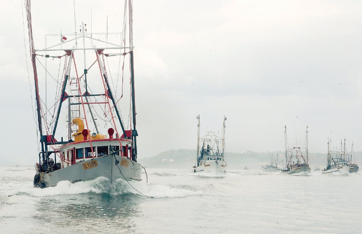 Pesca legal en Panamá se fortalece con trazabilidad y sanciones millonarias