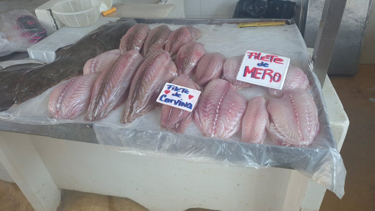 ‘Los precios están por Júpiter’: reacciones ante el alza de mariscos previo a Semana Santa