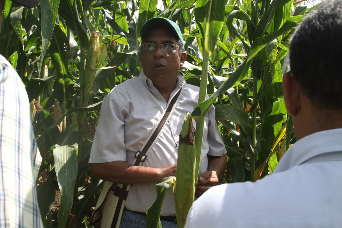  Enhorabuena. Universidad de Panamá entregará reconocimiento a Román Gordón