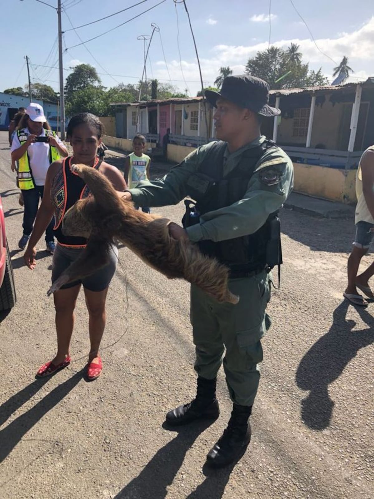 ¡OH MY GOD! Capturan a enorme boa que salió a carnavalear