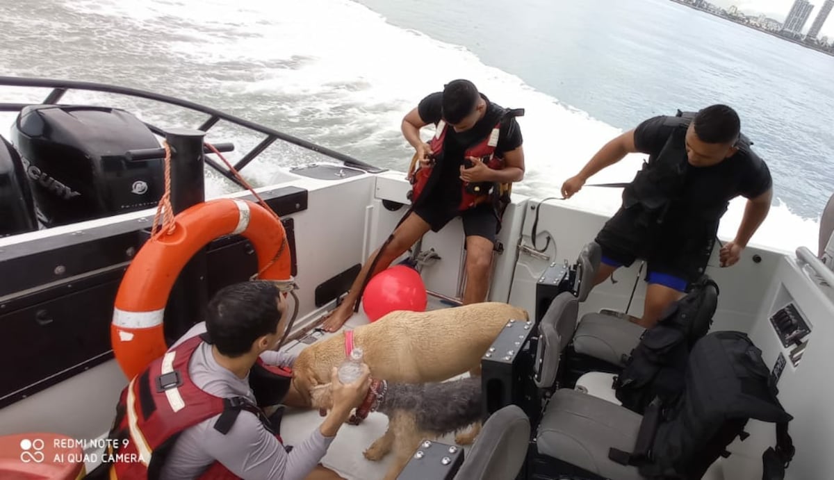 Captan momento en que SPI se quita la ropa y se lanza a salvar a una persona en tramo marino de Cinta Costera3. Video