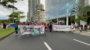 Corte admite otras cuatro demandas de inconstitucionalidad contra la Ley 406