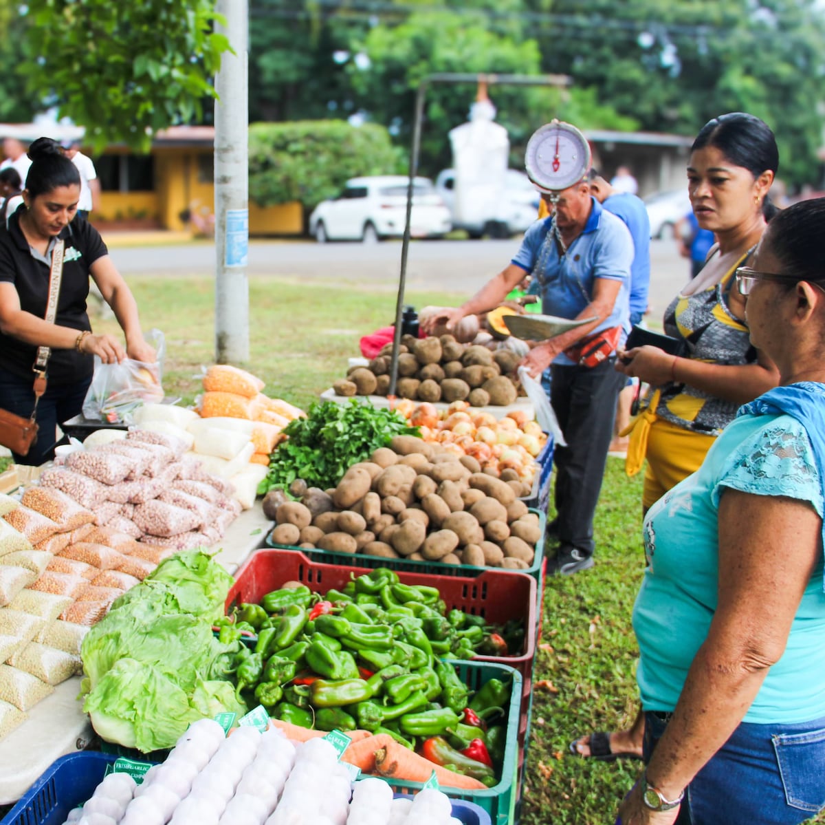 IMA anuncia Agroferias para el 1 y 2 de septiembre: revisa dónde estarán