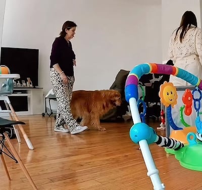 Caso de ex Miss asesinada en su hogar: versiones apuntan a que presuntamente su bebé habría sido alimentado del cuerpo