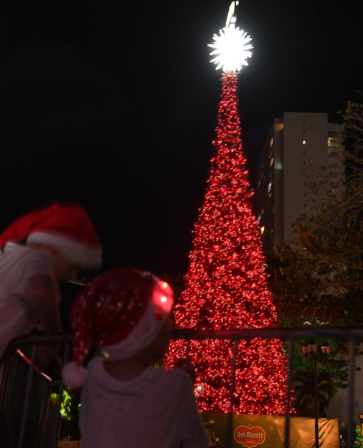 Encendido navideño en el Parque Omar será el 1 de diciembre