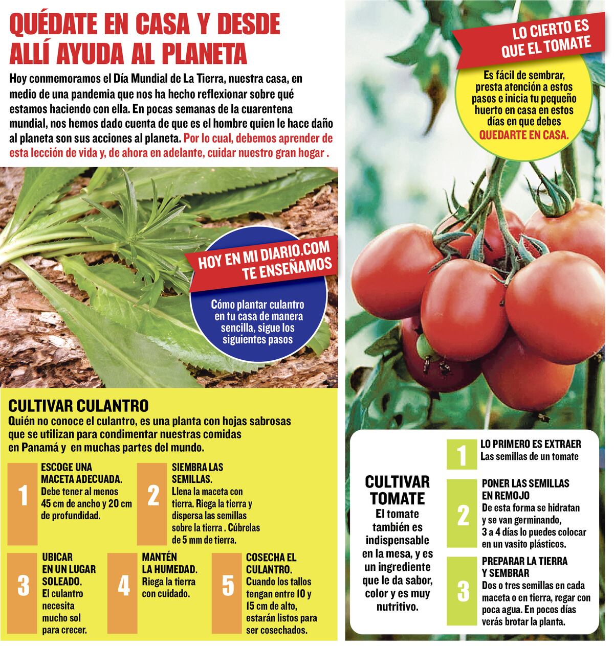 A cuidar la casa grande