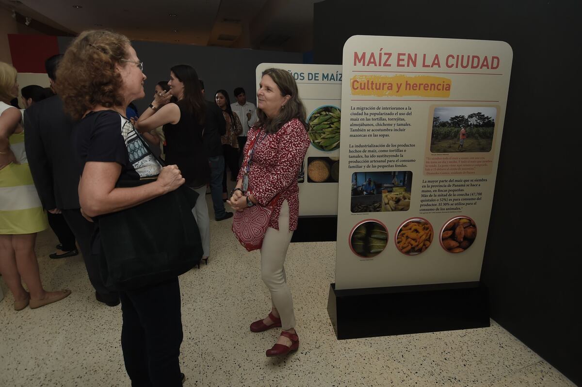 Exposición ‘El Maíz en Panamá’ : 500 años y Más