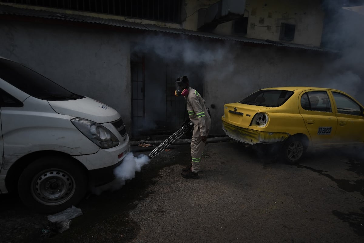 Alerta por aumento de casos de dengue en las próximas semanas por la llegada de las lluvias