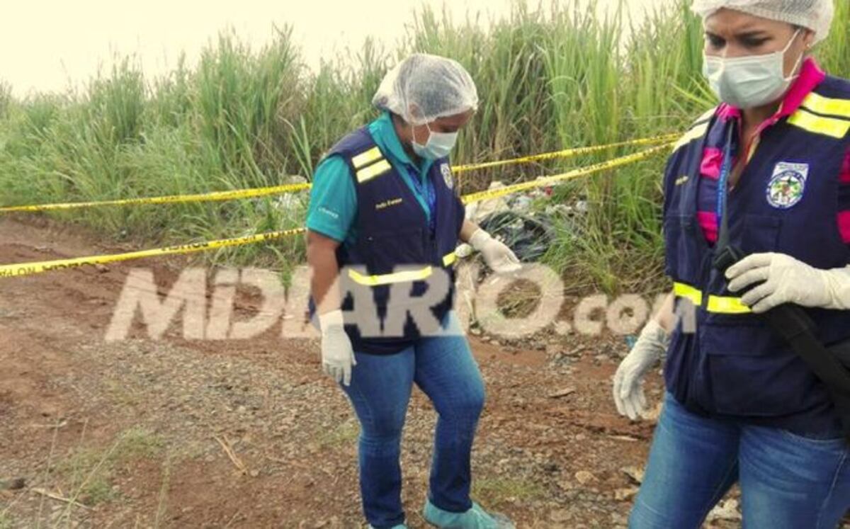 LO ÚLTIMO. Hallan cuerpo 'semienterrado' en La Mata de Veraguas 
