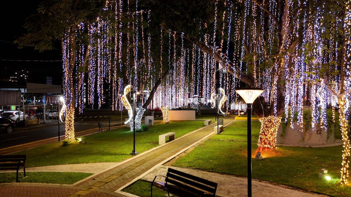 ¡Navidad todo el año! Alcaldía de Panamá anuncia que mantendrán las luces encendidas en cinco parques