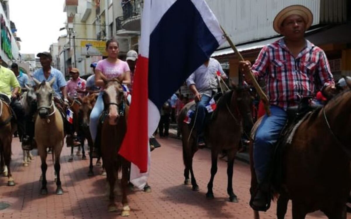 Protestan.Con vacas y caballos productores marchan hasta la Presidencia | Videos