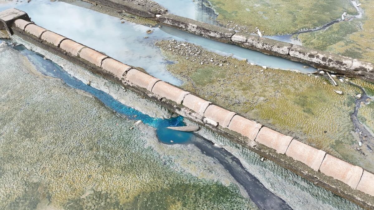 MiAmbiente ordena parar industria en Boca La Caja por posibles daños ambientales