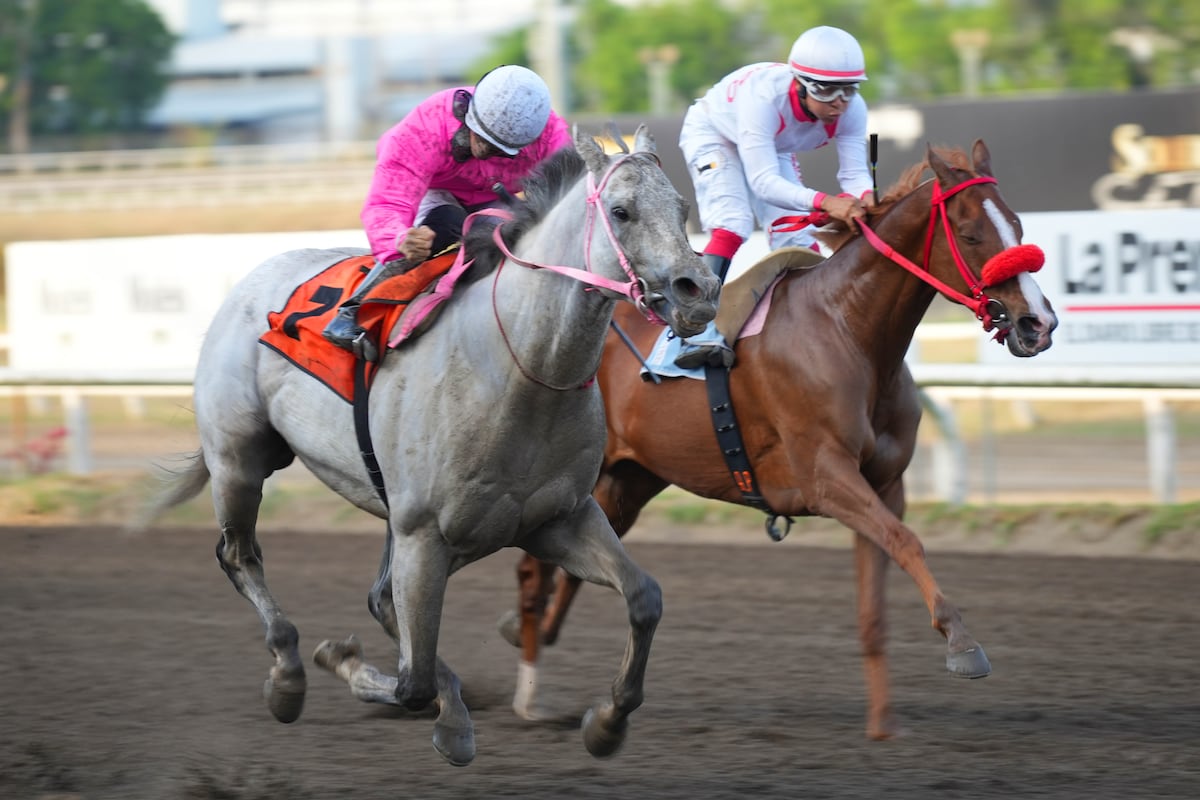 Datos curiosos del Clásico Presidente. ¿Sabes cuál fue el de menor premio pagado?