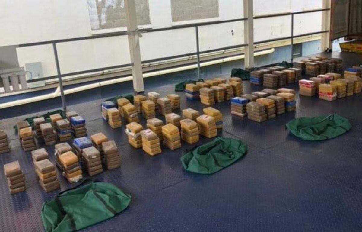 Pocotón. 18 mil paquetes drogas se ha decomisado en el 2023