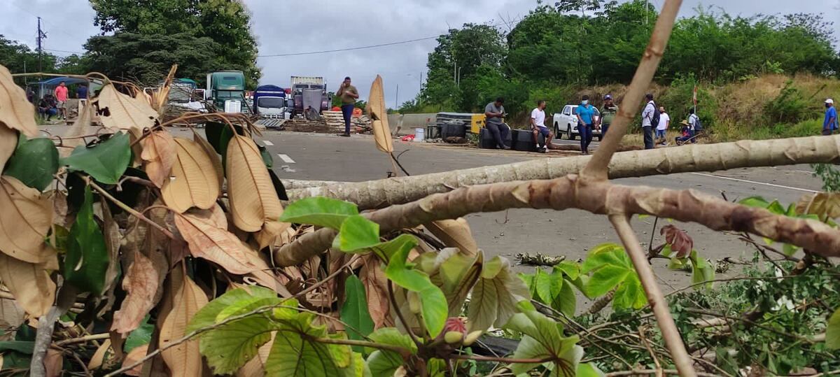 Indígenas finalizan paro nacional tras la conformación de una comisión de alto nivel