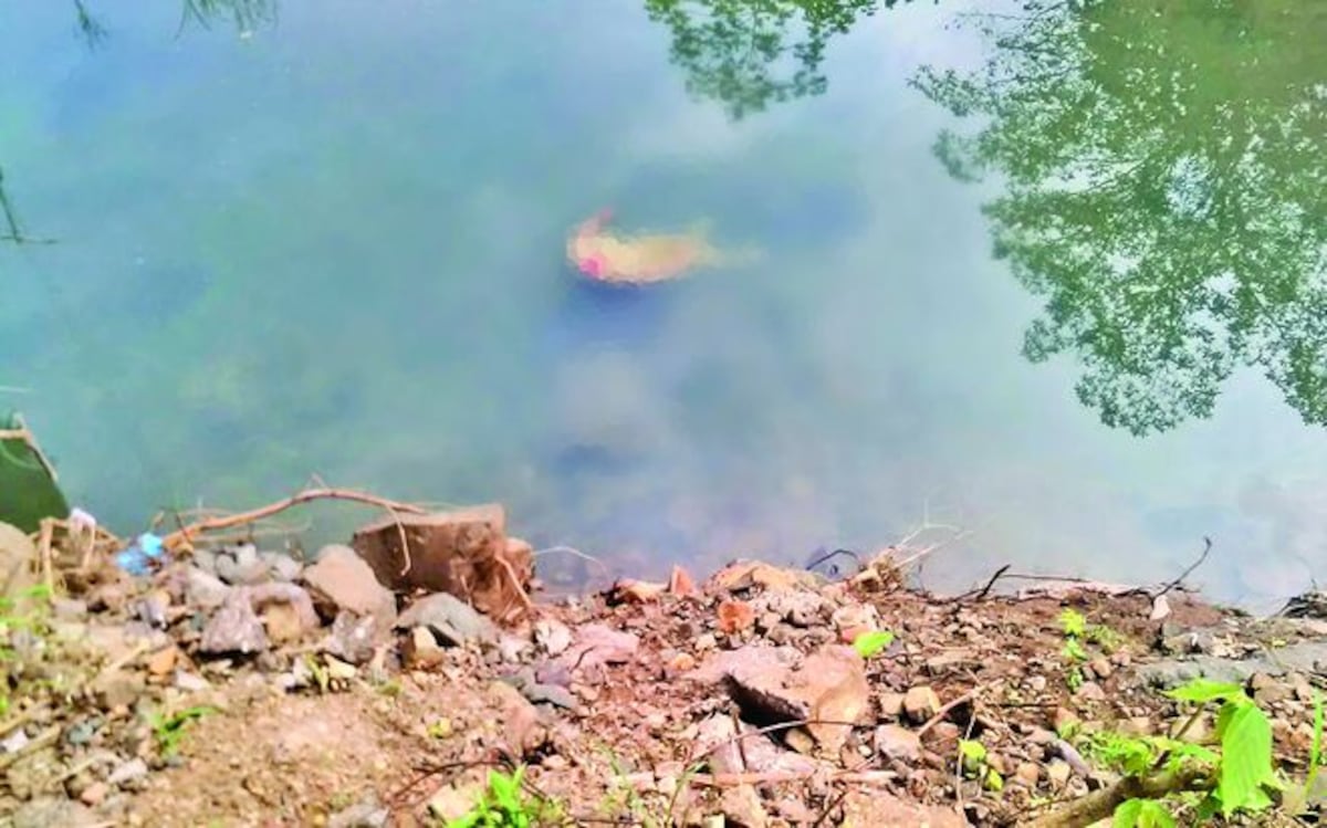 ¡SIN IDENTIFICAR! La mataron y después cortaron su cabeza y manos 