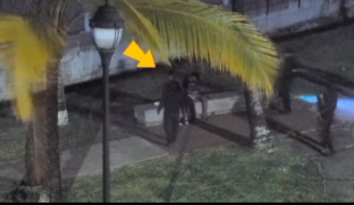 Qué es esto. Pillan a dos parejas haciendo actos inmorales en plena vía pública. Cámaras los delatan. Video