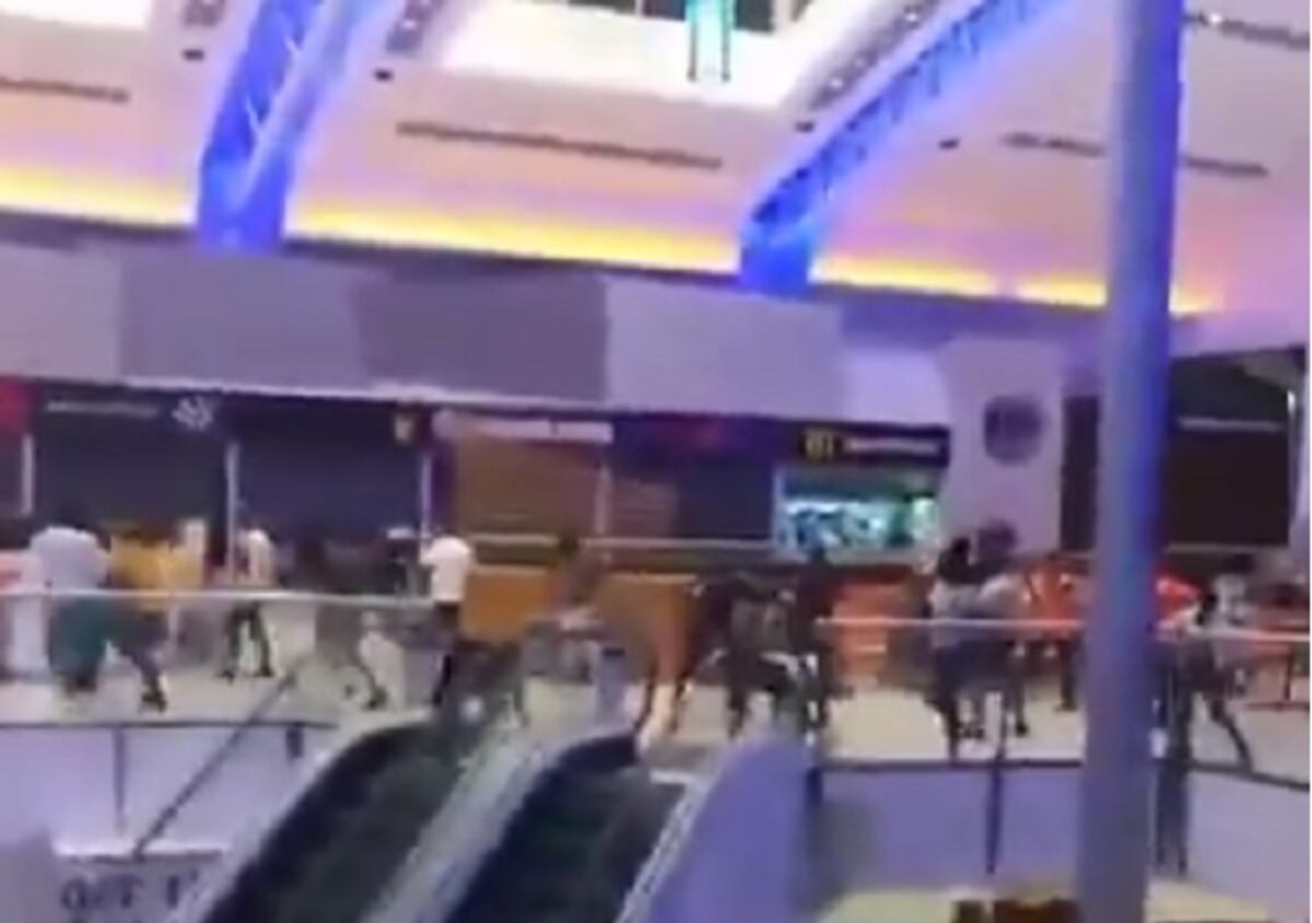 Hija de Nilka 'Ayúdame Calderón' se disculpa por su live del caos en Multiplaza