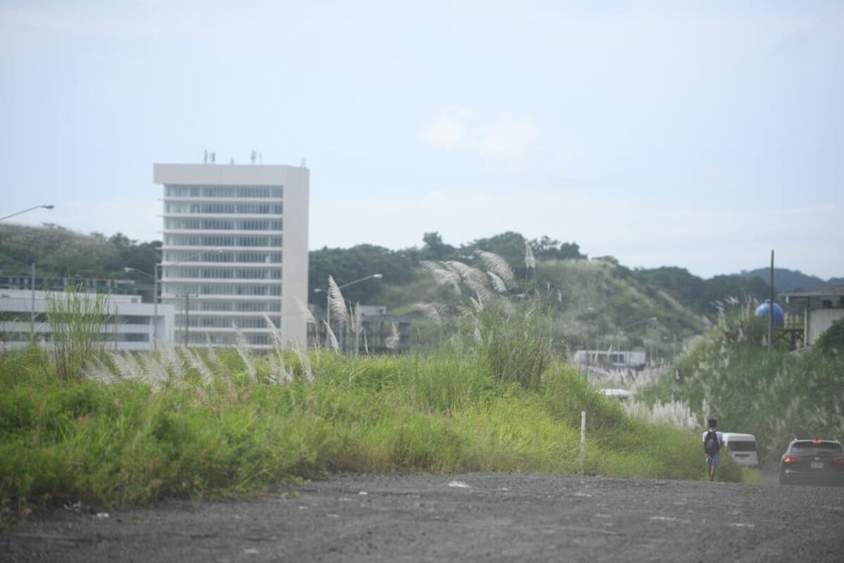 Plantean abrir la Ciudad de la Salud con 286 camas como respuesta a un posible rebrote