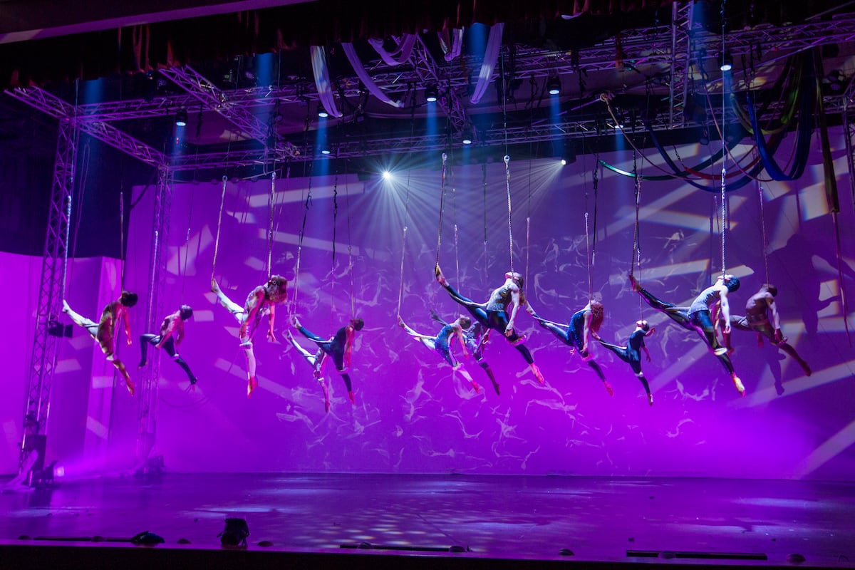 Del contacto a lo virtual. Así se las ingenian profesionales de la danza aérea para salir adelante en la pandemia +Fotos