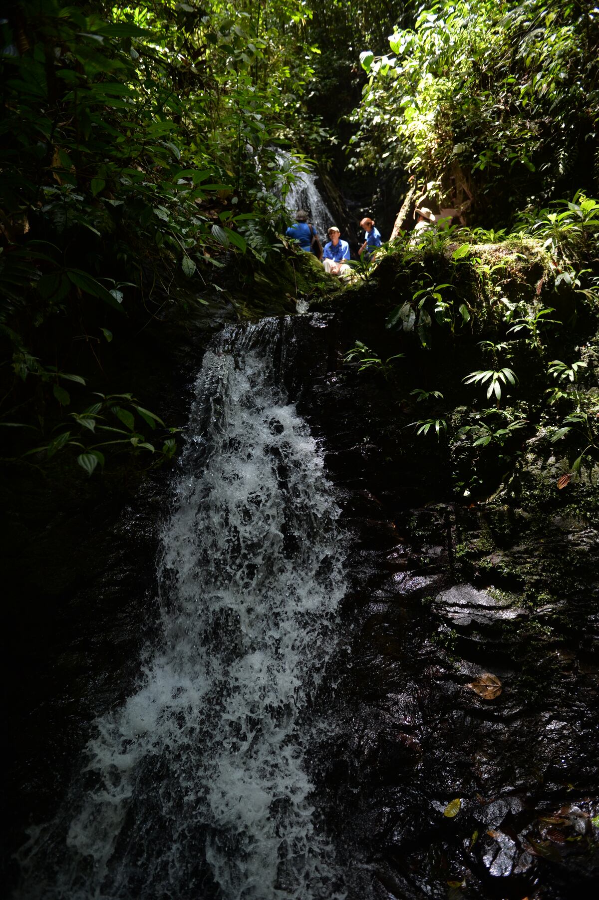 A cuidar la casa grande