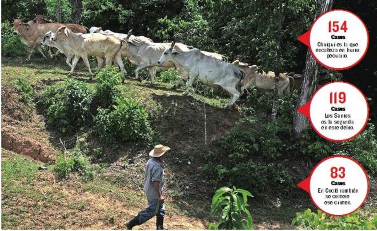 ¡NO PERDONAN! Hurtan reses para consumo propio a nivel nacional 