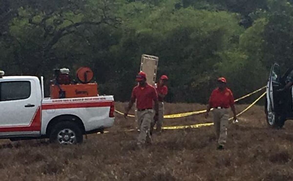 Tercera víctima del carnaval es por picadura de abejas en Veraguas